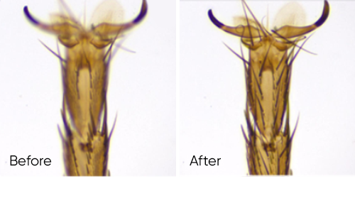 實(shí)時(shí)景深融合功能