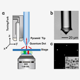 量子點(diǎn)成像