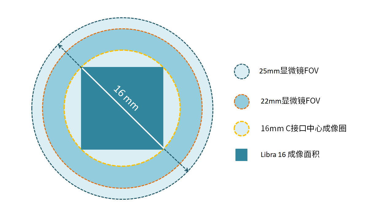 大靶面/高分辨率<br> 適配現(xiàn)代光學顯微系統(tǒng)