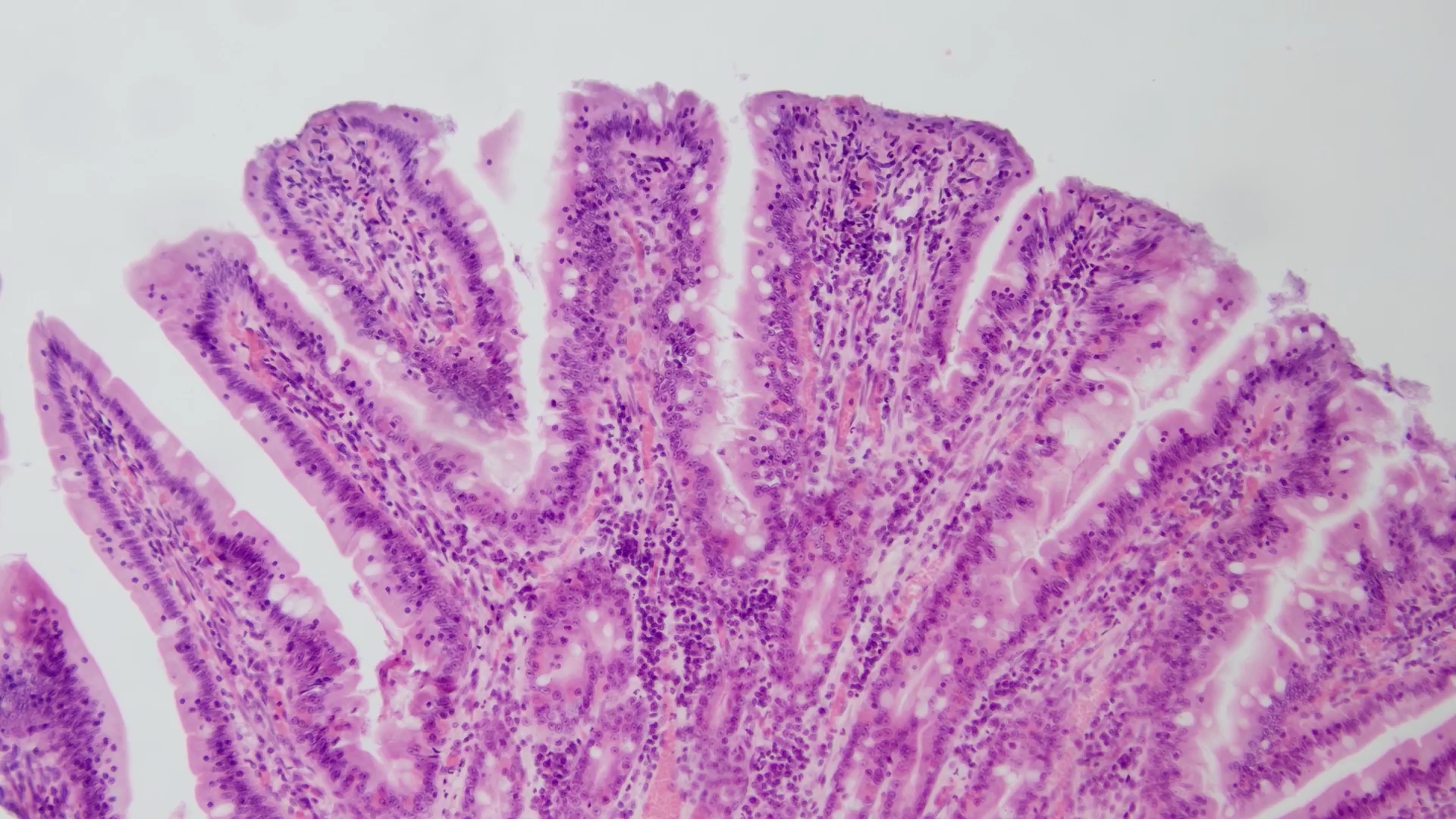 真實色彩還原算法